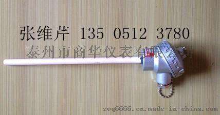 高温及中温盐浴炉专用热电偶