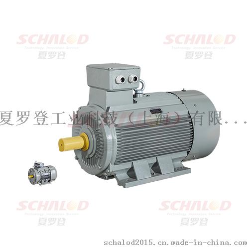 AC Motoren感应电机