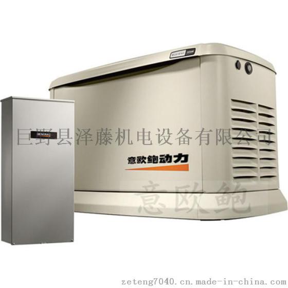 发电稳定40KW进口汽油发电机