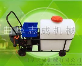 供应大棚专用电动喷雾器105L推车式打药机