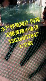 网箱养殖黄鳝泥鳅水产养殖网箱