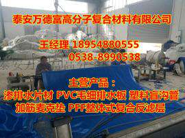 厂家供应幅宽2m/3m虹吸式pvc毛细防排水板