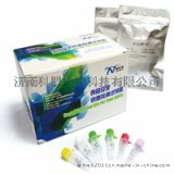 金黄色葡萄球菌测试片