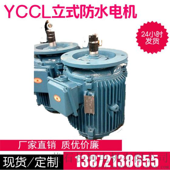 供应YCCL冷却塔防水专用电机132M2-12/2.2KW