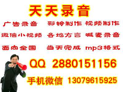 电动汽车打折喜讯叫卖录音录音MP3下载