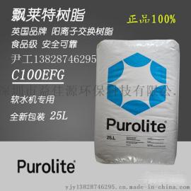 PUROLITE漂莱特食品级软化树脂C100EFG