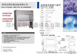 SW-CJ-2FD双人单面/垂直送风超净工作台