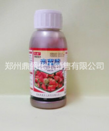 草莓育苗用杀菌剂效果好 草莓苗得了炭疽病用草莓辛菌胺  草莓苗期管理病害防治 治疗炭疽病好农药