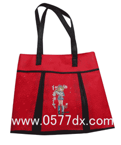 无纺布袋（DX-1021）