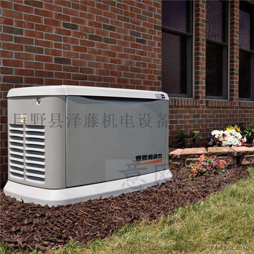 静音式50kw汽油发电机价格