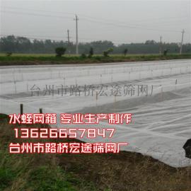 加厚防老化鱼塘养殖水蛭蚂蟥养殖网箱带防逃圈水产渔网拉拦网
