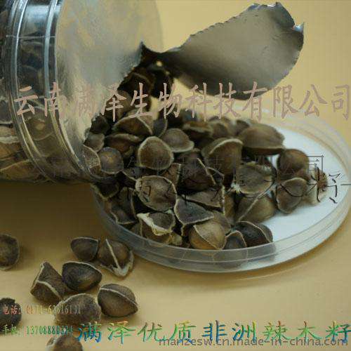 云南满泽牌非洲正宗辣木籽种子批发