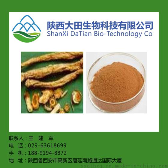 厂家现货荆芥提取物10: 1