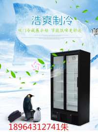 HAO14/浩爽直销立式饮料冷藏展示柜