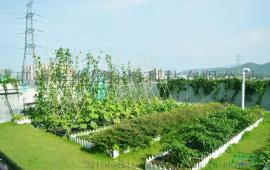 珠海都市农夫屋顶绿化项目_自动灌溉系统蓄排水种植槽全国招商