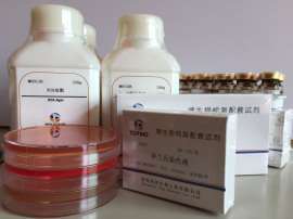 哥伦比亚琼脂培养基基础