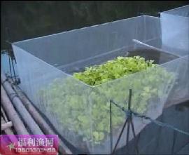 3*2*1.2米黄鳝养殖网箱批发