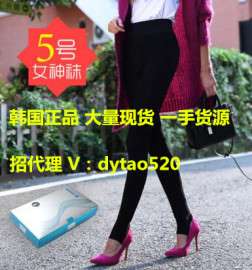 厂家低价批发正品韩国VVC5号加绒女神袜