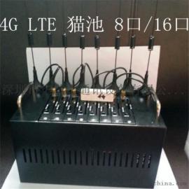 4G猫池 深圳品牌4G+猫池 8口16口4G猫池厂家直销