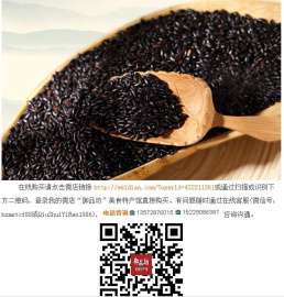 【黑米批发】优质黑米种植基地厂家直供