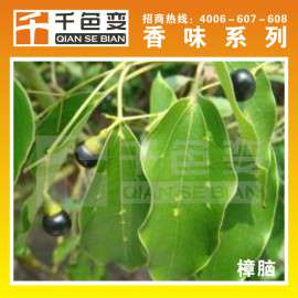 【千色变】供应奇异果、尤加利、蓝莓、茉莉 香蕉、茶树感香味粉
