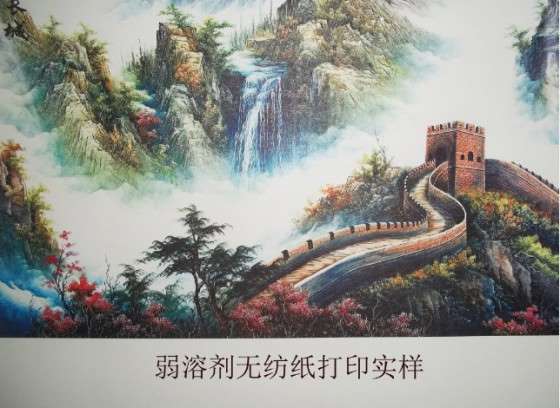 无纺纸用弱溶剂涂层1050A